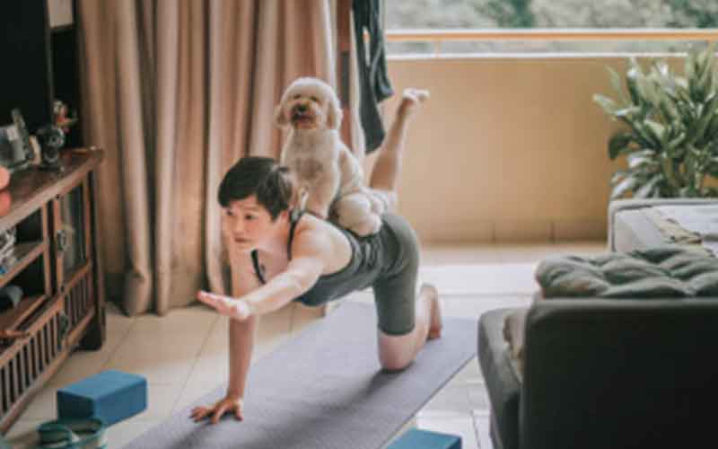 health physio